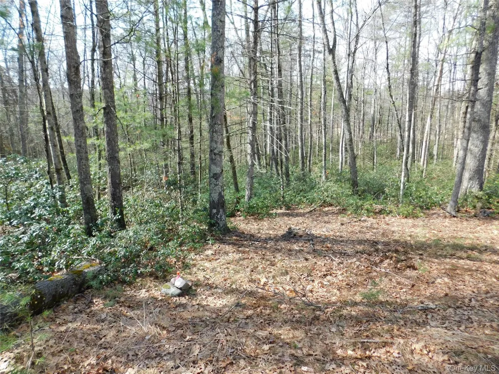 TBD Wright Rd Kerhonkson, NY 12446