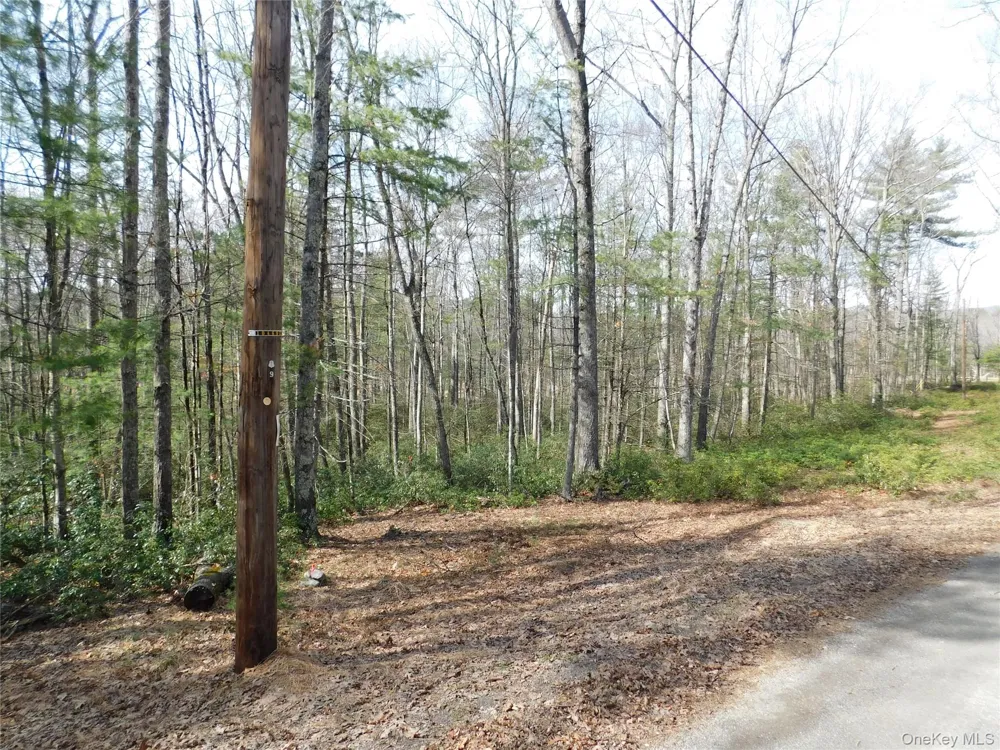 TBD Wright Rd Kerhonkson, NY 12446