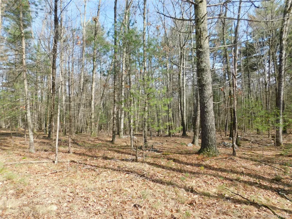 TBD Wright Rd Kerhonkson, NY 12446