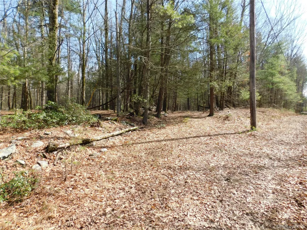 TBD Wright Rd Kerhonkson, NY 12446