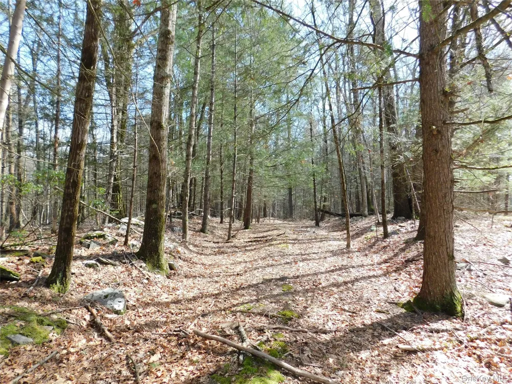 TBD Wright Rd Kerhonkson, NY 12446