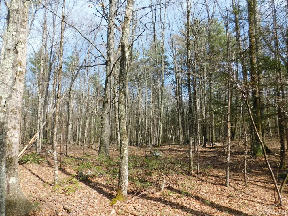 TBD Wright Rd Kerhonkson, NY 12446