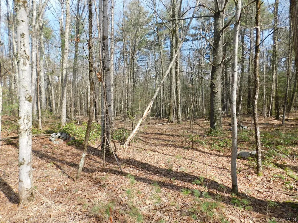 TBD Wright Rd Kerhonkson, NY 12446