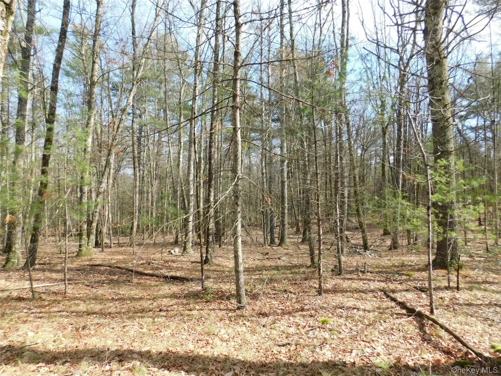 TBD Wright Rd Kerhonkson, NY 12446