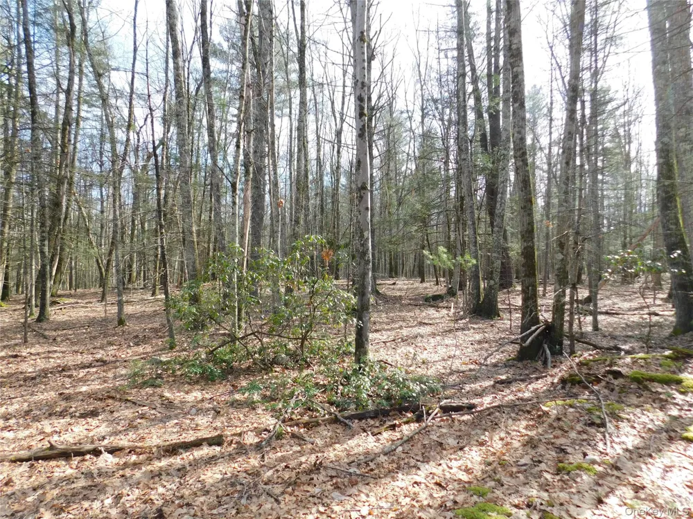 TBD Wright Rd Kerhonkson, NY 12446