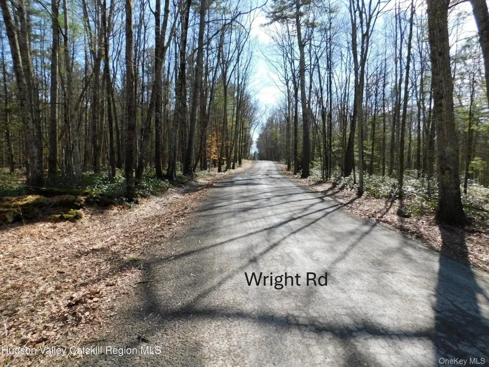 TBD Wright Rd Kerhonkson, NY 12446
