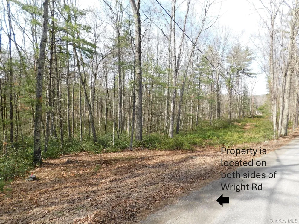 TBD Wright Rd Kerhonkson, NY 12446