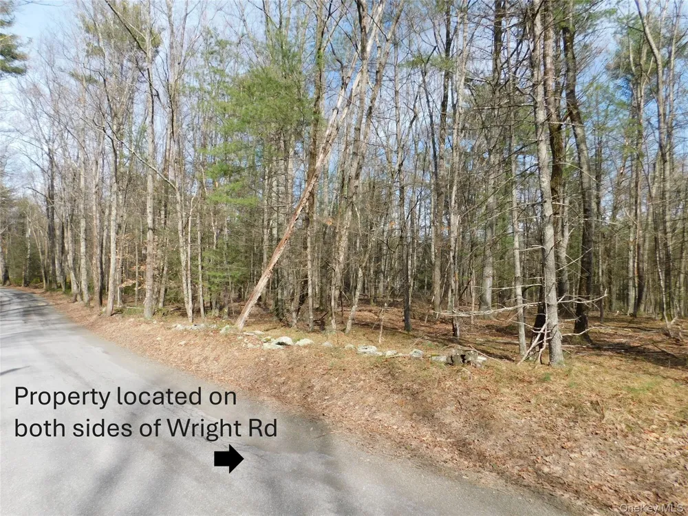 TBD Wright Rd Kerhonkson, NY 12446