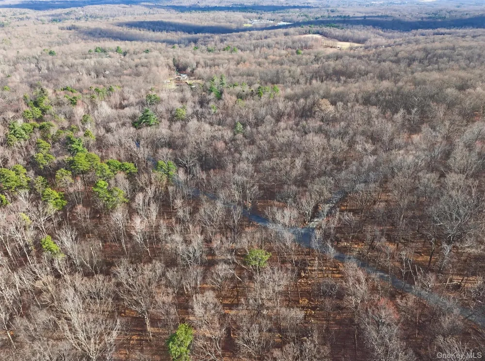 Lenni Lenape Avenue Wurtsboro, NY 12790