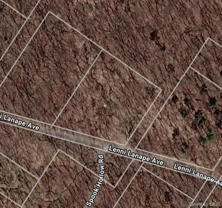 Lenni Lenape Avenue Wurtsboro, NY 12790