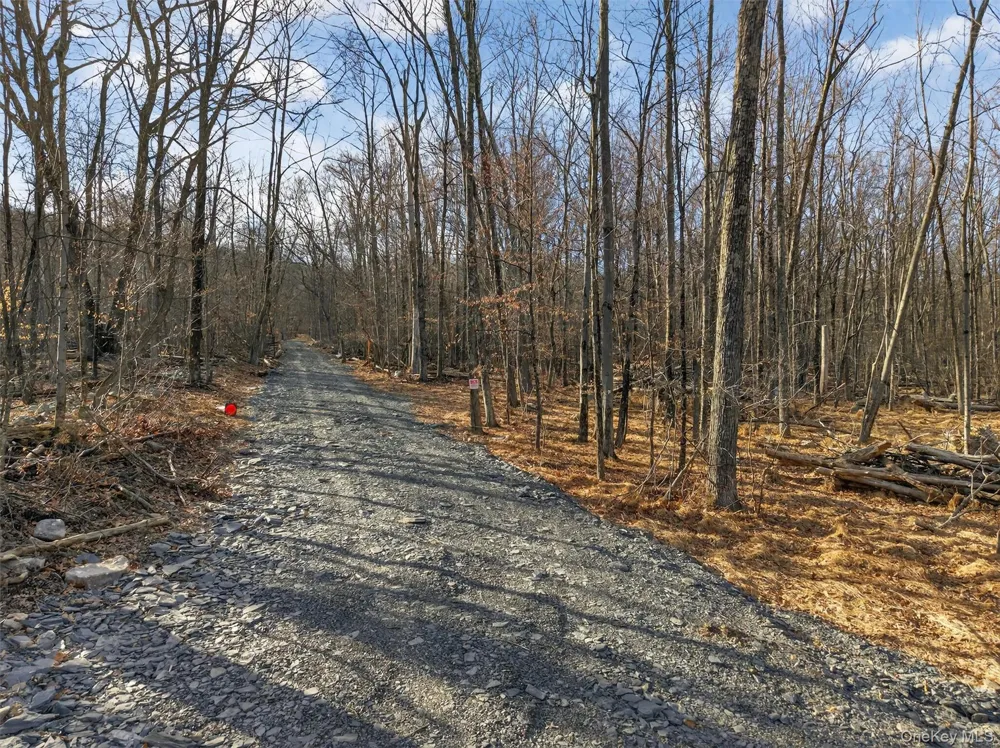 Lenni Lenape Avenue Wurtsboro, NY 12790