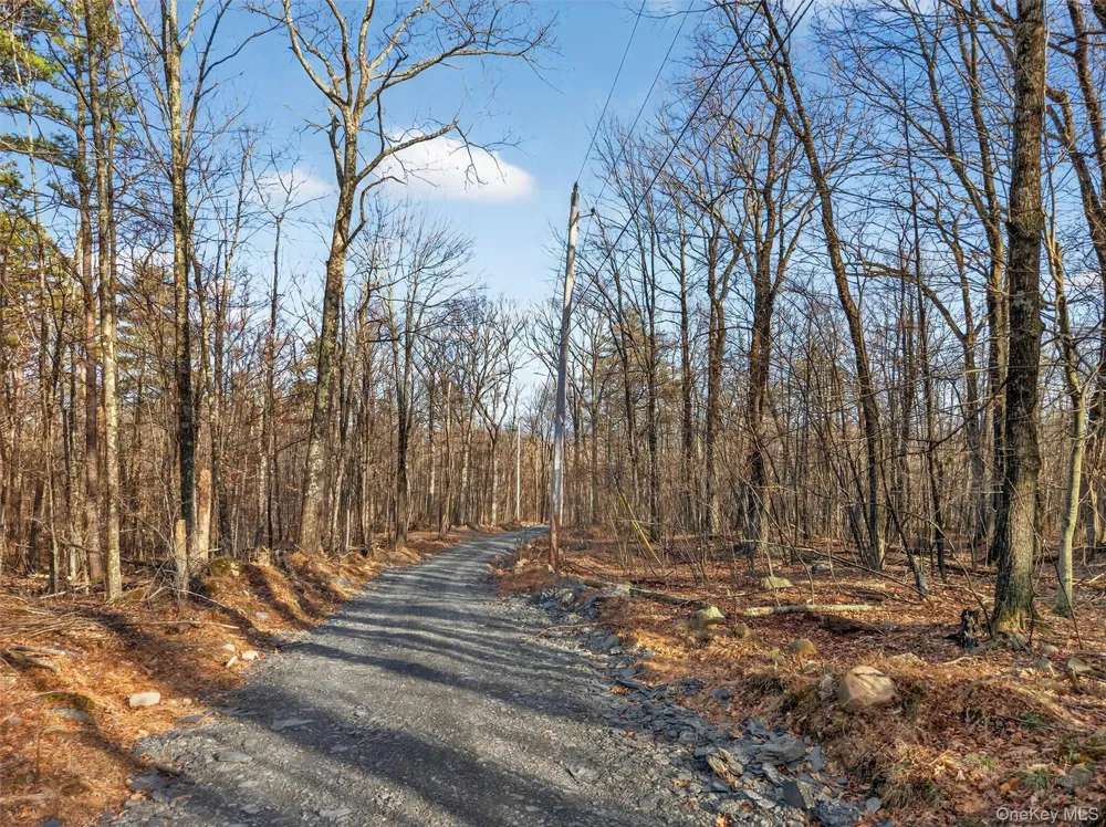 Lenni Lenape Avenue Wurtsboro, NY 12790