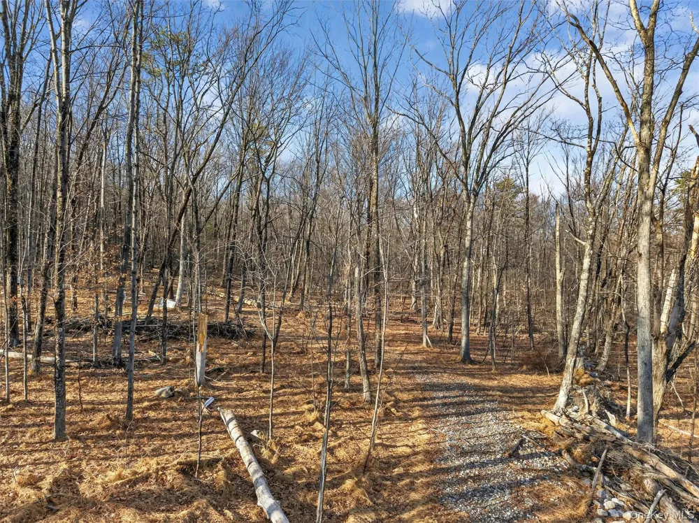 Lenni Lenape Avenue Wurtsboro, NY 12790