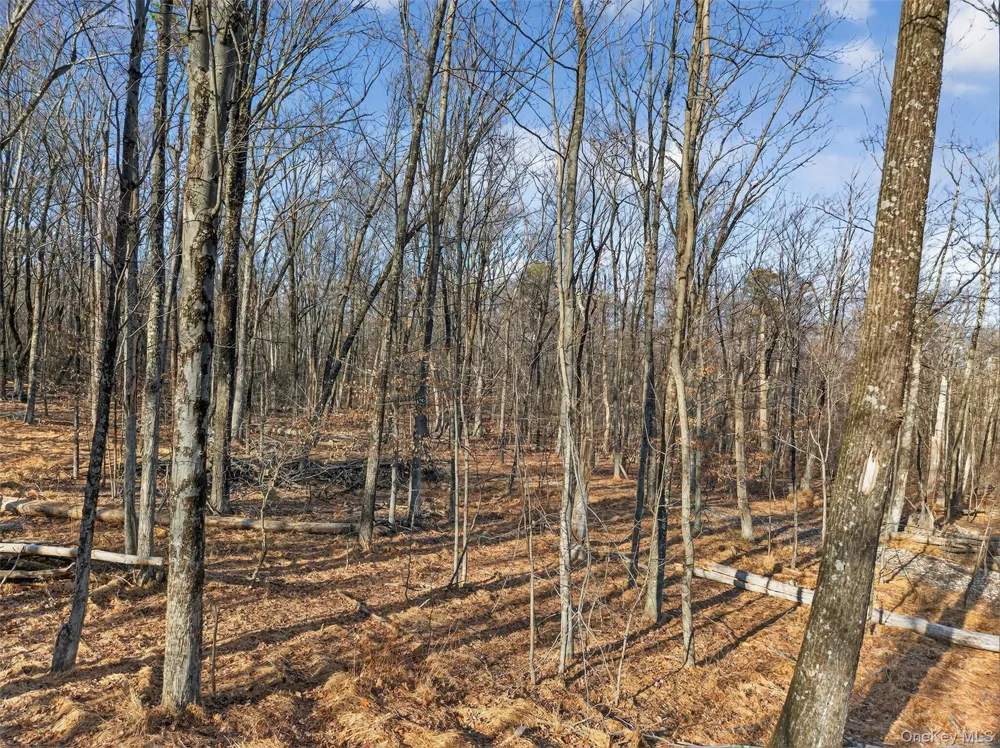 Lenni Lenape Avenue Wurtsboro, NY 12790