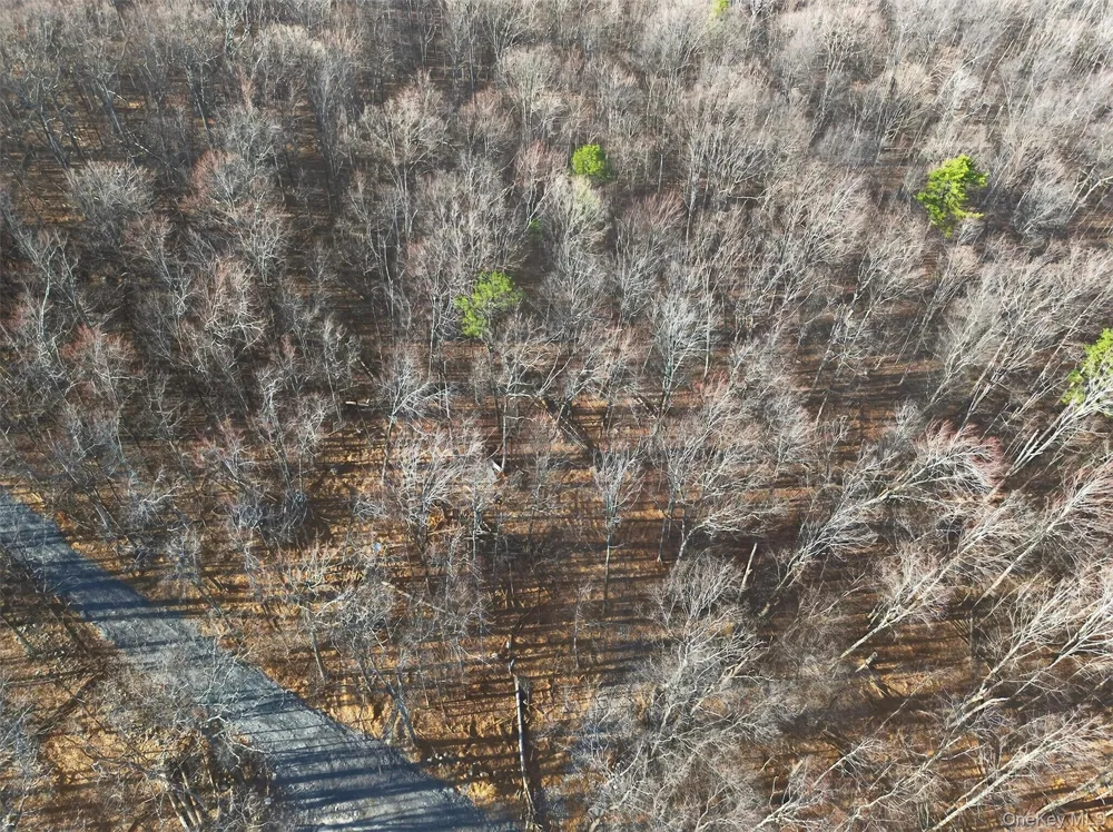 Lenni Lenape Avenue Wurtsboro, NY 12790