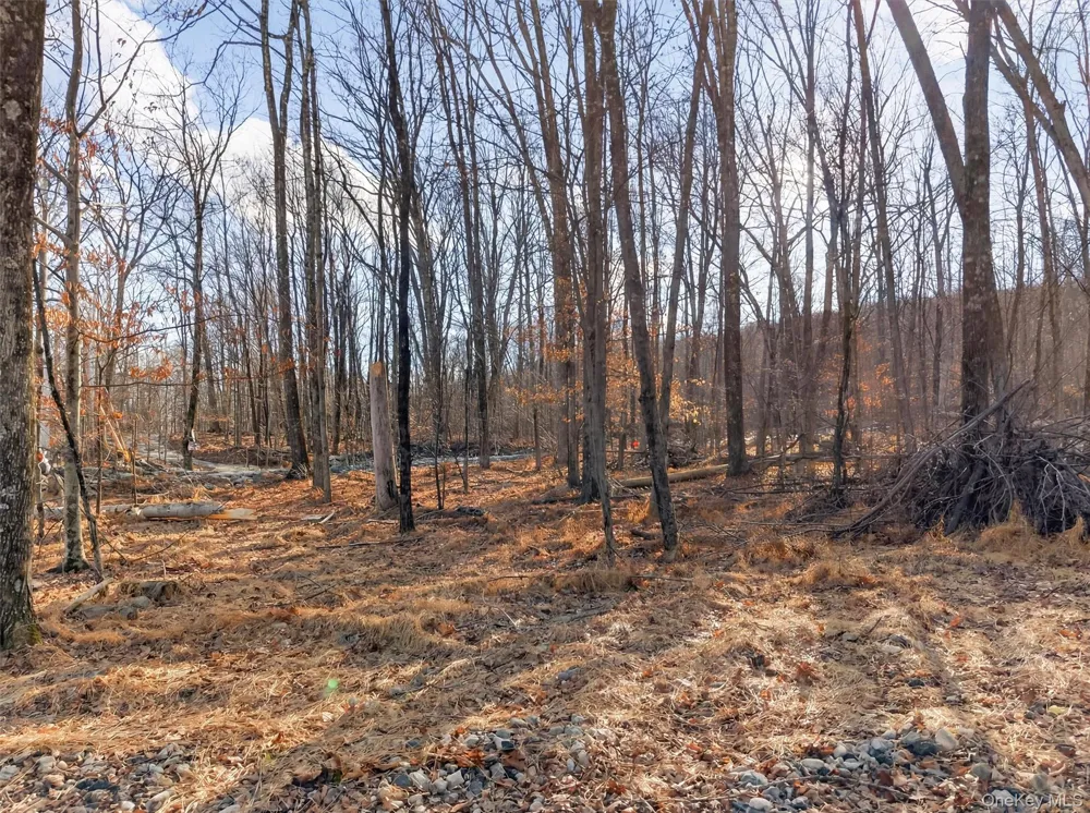 Lenni Lenape Avenue Wurtsboro, NY 12790