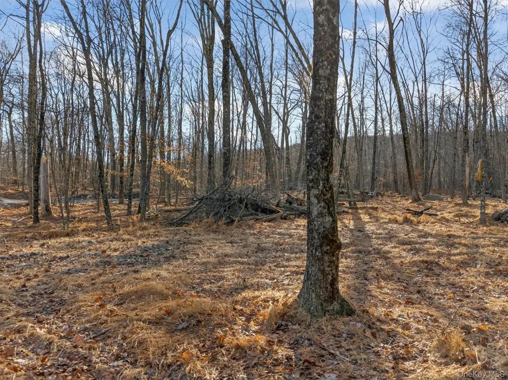 Lenni Lenape Avenue Wurtsboro, NY 12790