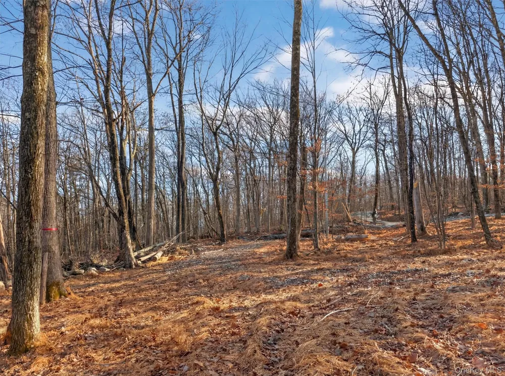 Lenni Lenape Avenue Wurtsboro, NY 12790