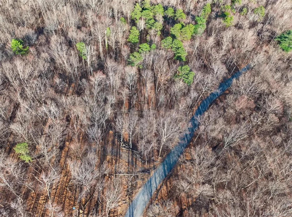 Lenni Lenape Avenue Wurtsboro, NY 12790