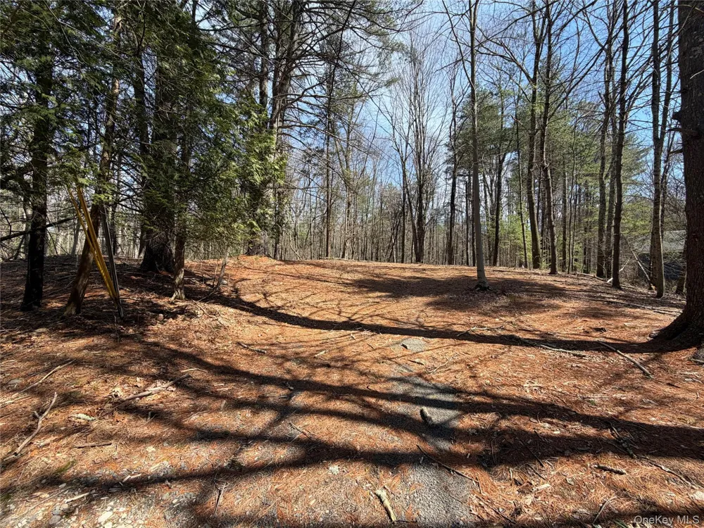 42 Yorkville Park Road Bloomingburg, NY 12721