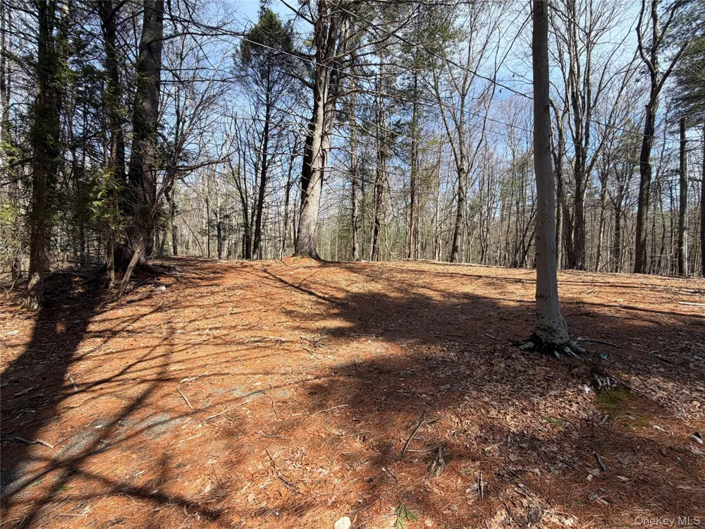42 Yorkville Park Road Bloomingburg, NY 12721