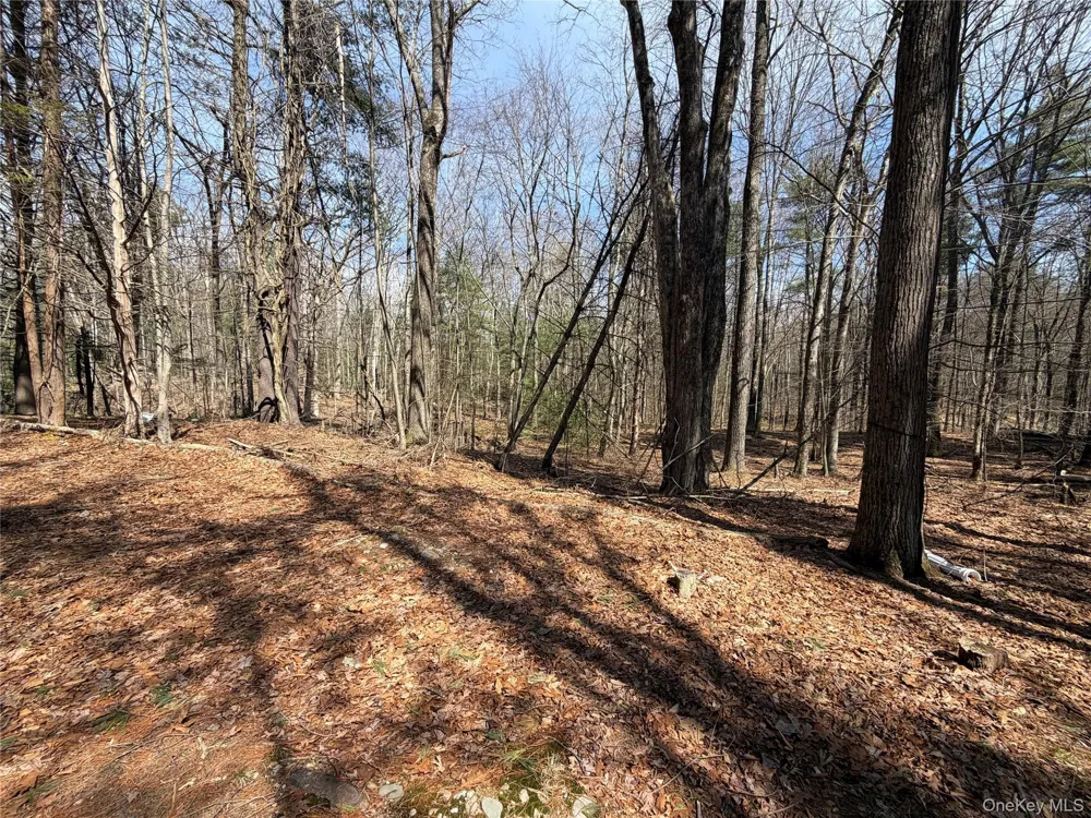 42 Yorkville Park Road Bloomingburg, NY 12721
