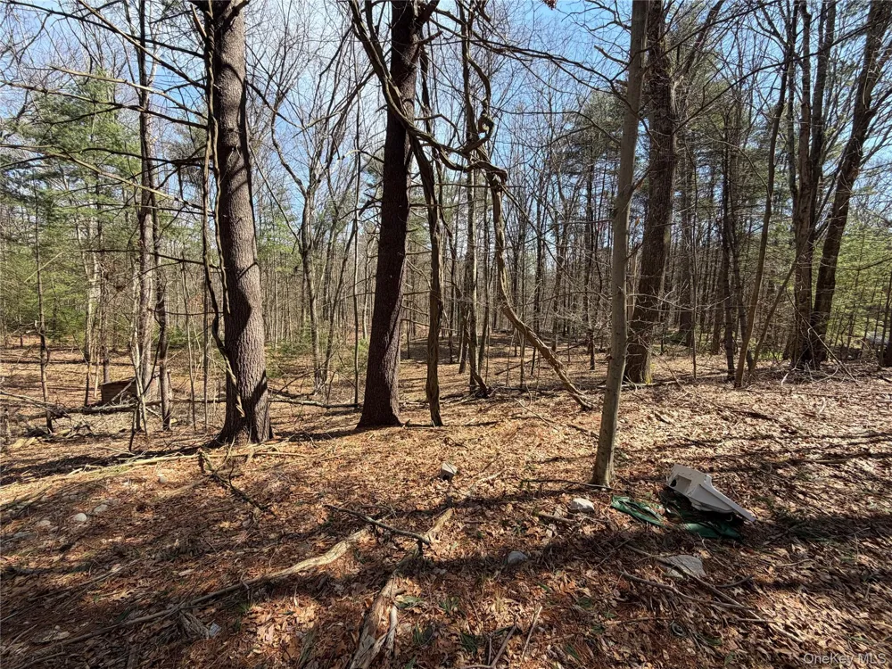 42 Yorkville Park Road Bloomingburg, NY 12721