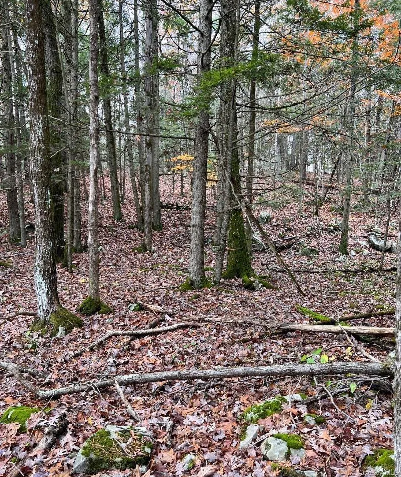 91 Laurie Lane Call Listing Agent, NY 12413