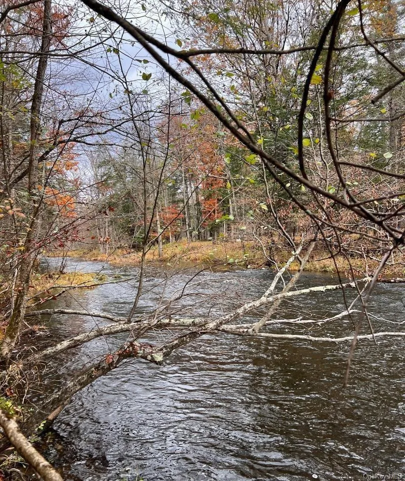 91 Laurie Lane Call Listing Agent, NY 12413