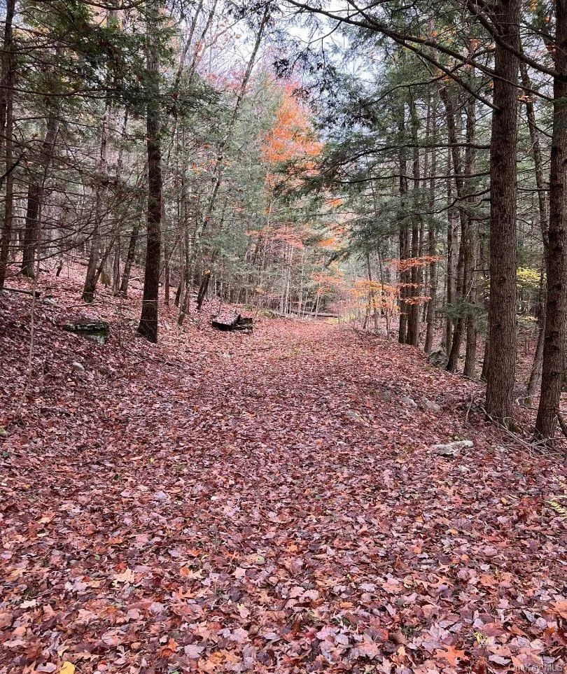 91 Laurie Lane Call Listing Agent, NY 12413