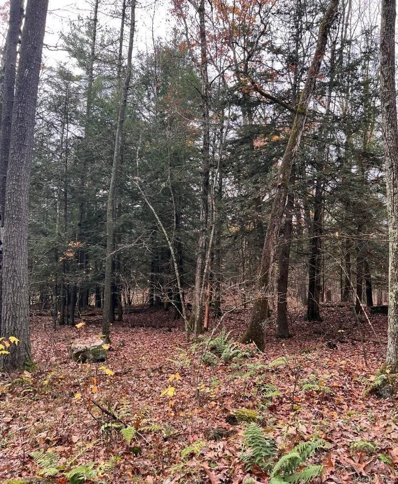 91 Laurie Lane Call Listing Agent, NY 12413