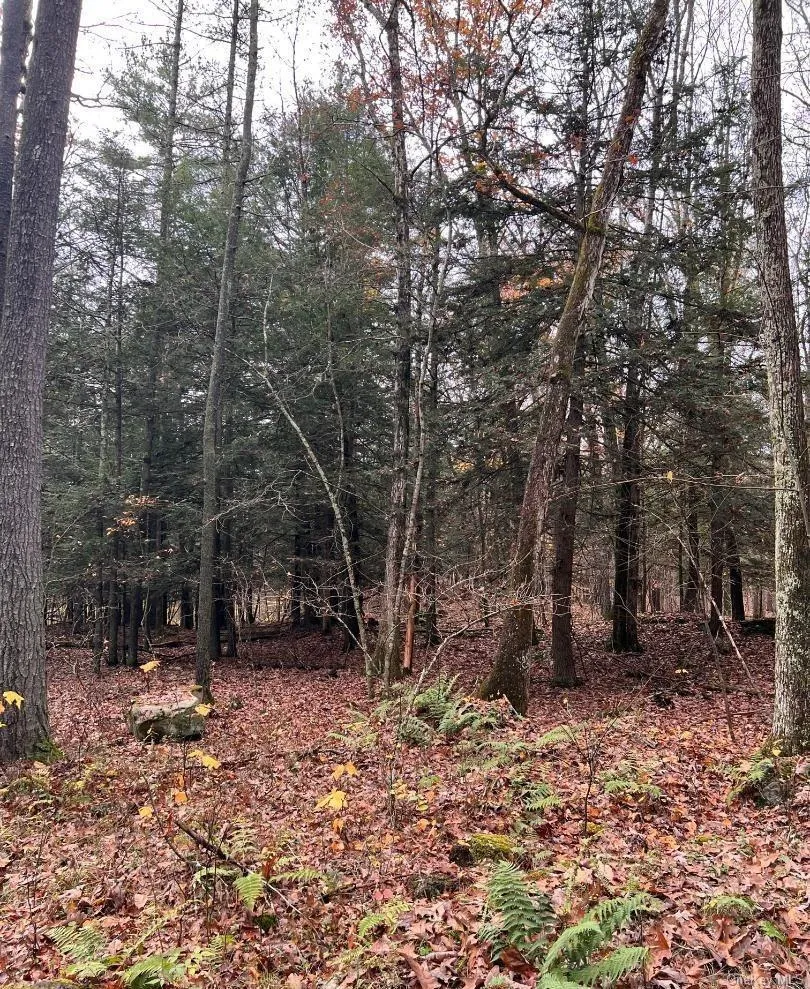 91 Laurie Lane Call Listing Agent, NY 12413