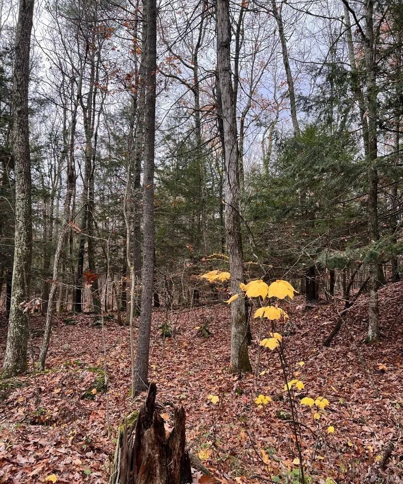 91 Laurie Lane Call Listing Agent, NY 12413