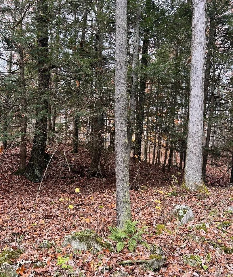 91 Laurie Lane Call Listing Agent, NY 12413