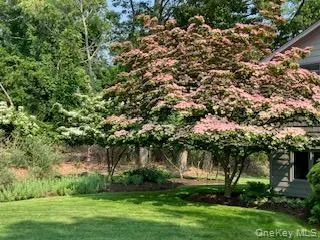 5 Shore Drive Setauket, NY 11733