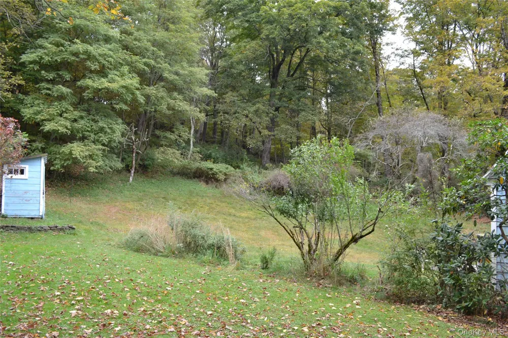 4088 State Route 52 Youngsville, NY 12791