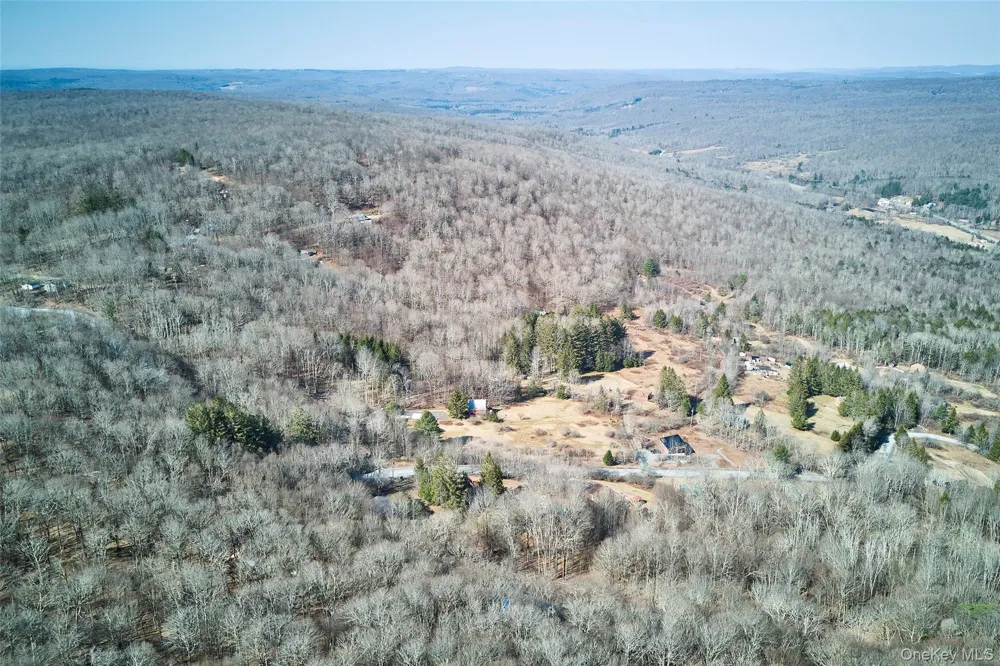 60 Mountain Terrace Road Livingston Manor, NY 12758