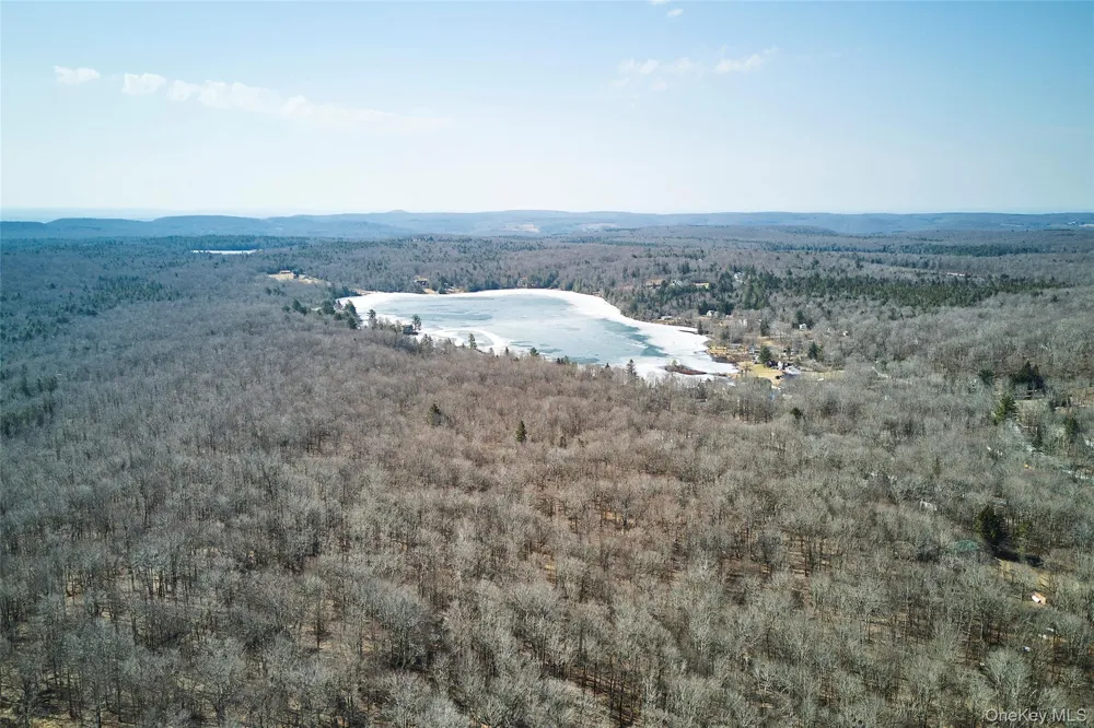 60 Mountain Terrace Road Livingston Manor, NY 12758