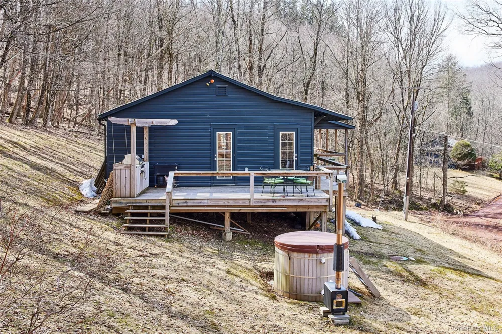 60 Mountain Terrace Road Livingston Manor, NY 12758