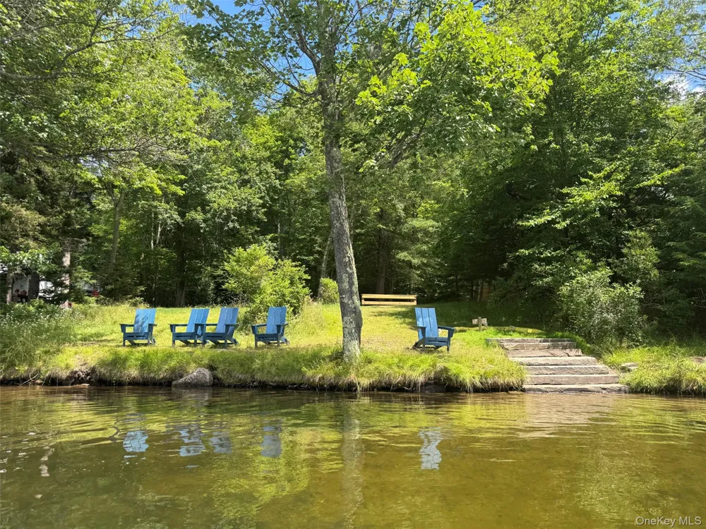 60 Mountain Terrace Road Livingston Manor, NY 12758