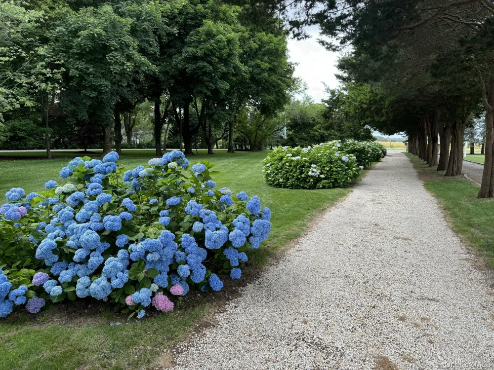 1429 Peconic Bay Boulevard Jamesport, NY 11947