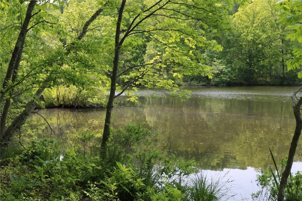 Gipsy Trail Road Carmel, NY 10512