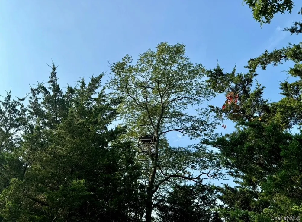 224 Centre Island Road Centre Island, NY 11771