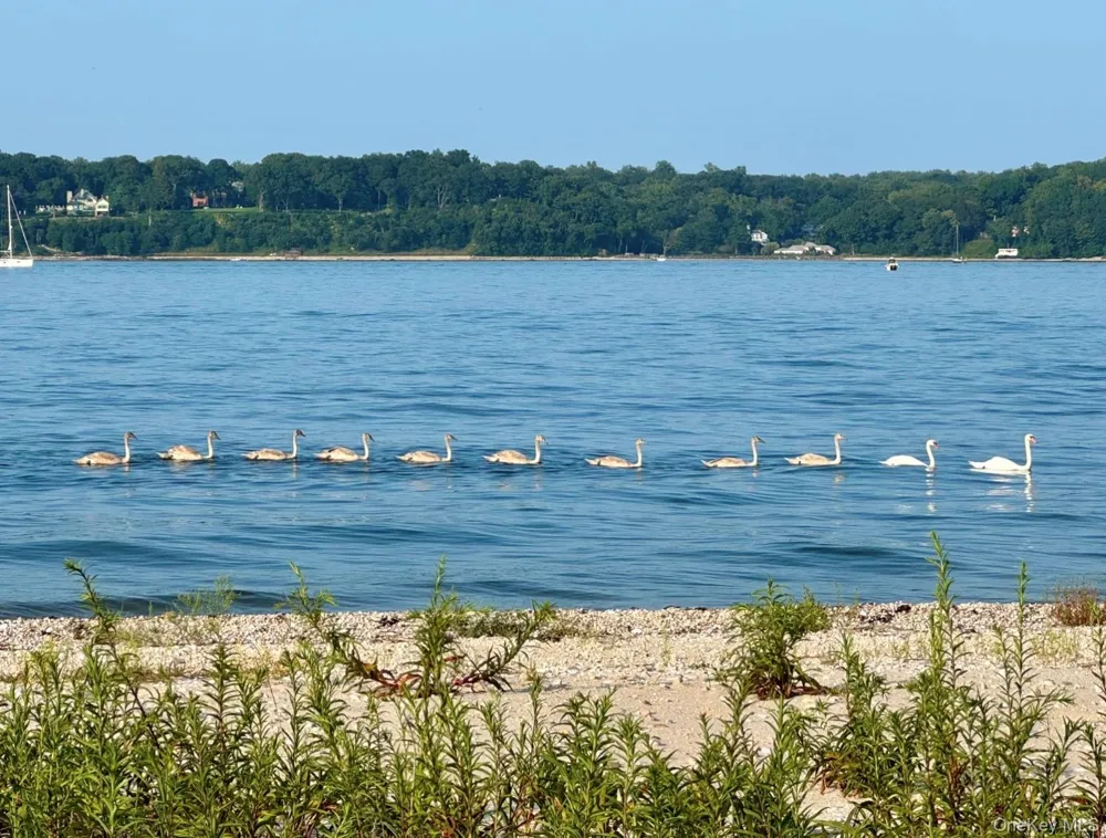 224 Centre Island Road Centre Island, NY 11771