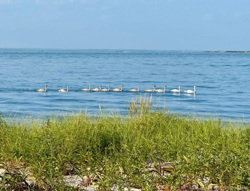 224 Centre Island Road Centre Island, NY 11771