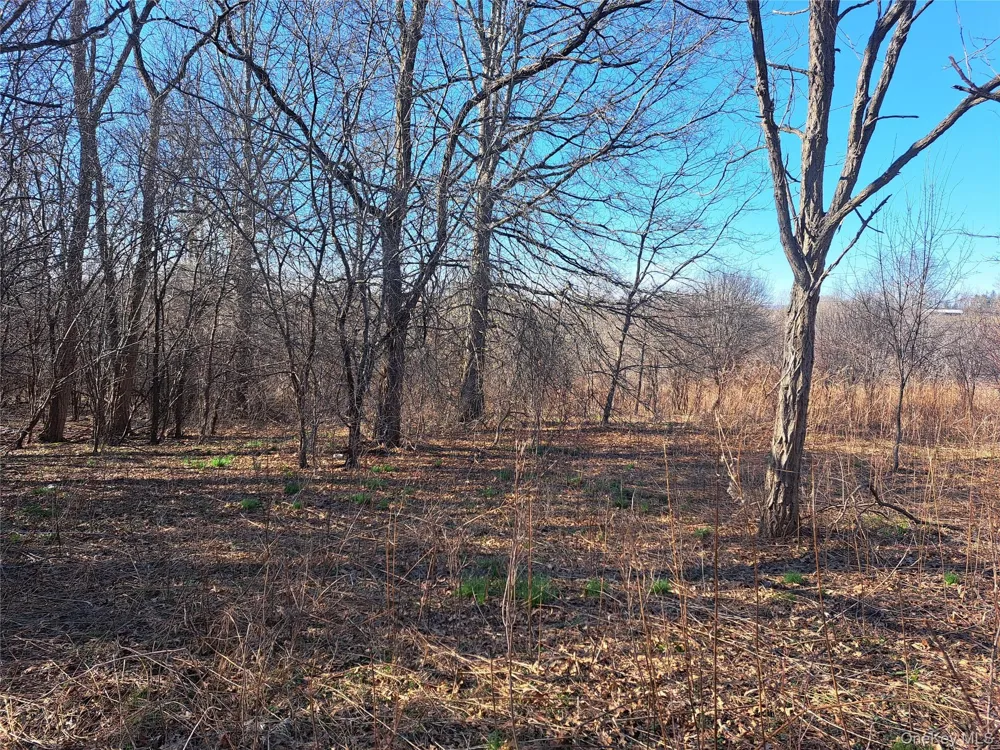 TBD Kiernan Road Campbell Hall, NY 10916