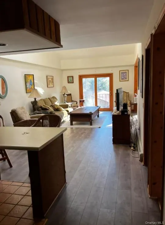 TBD Southwoods Drive Monticello, NY 12701