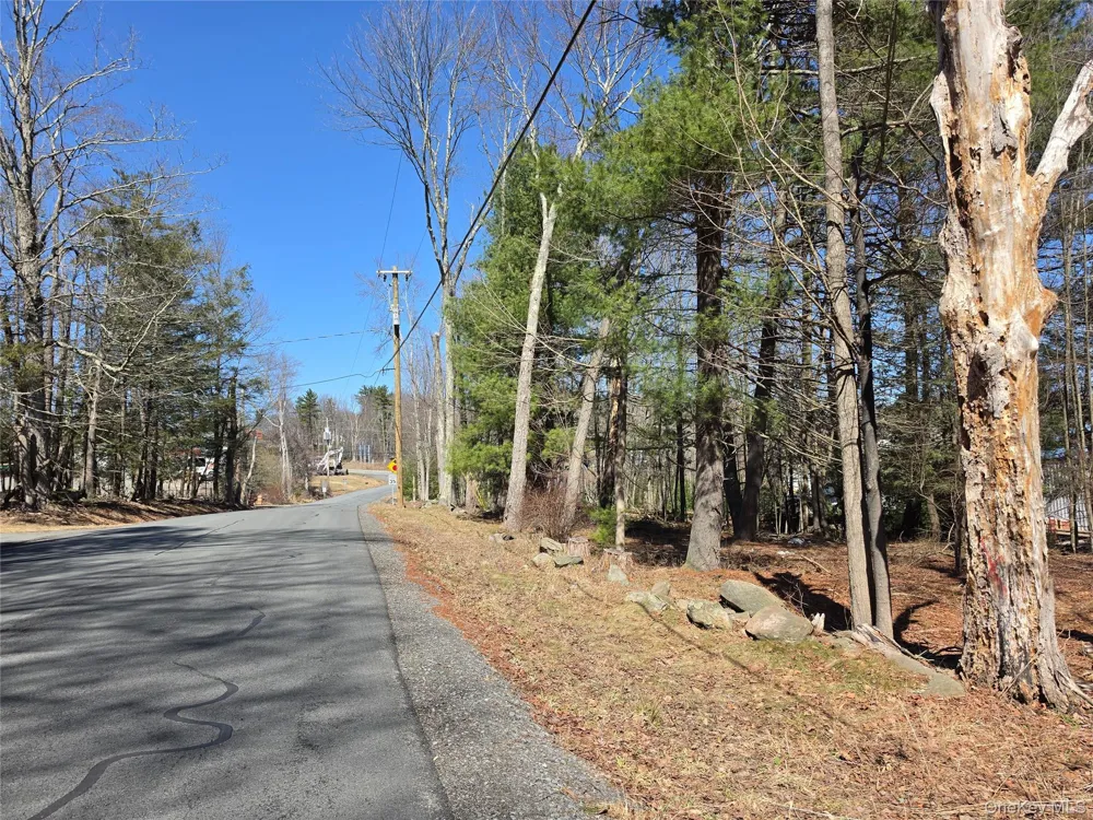 TBD Southwoods Drive Monticello, NY 12701