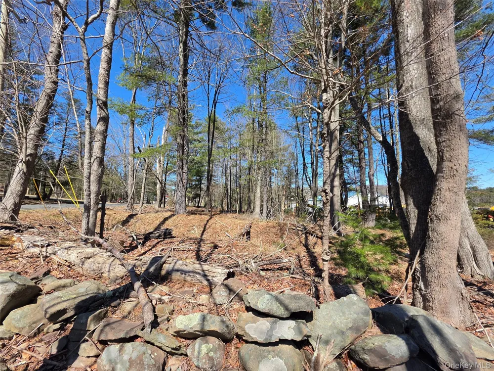TBD Southwoods Drive Monticello, NY 12701