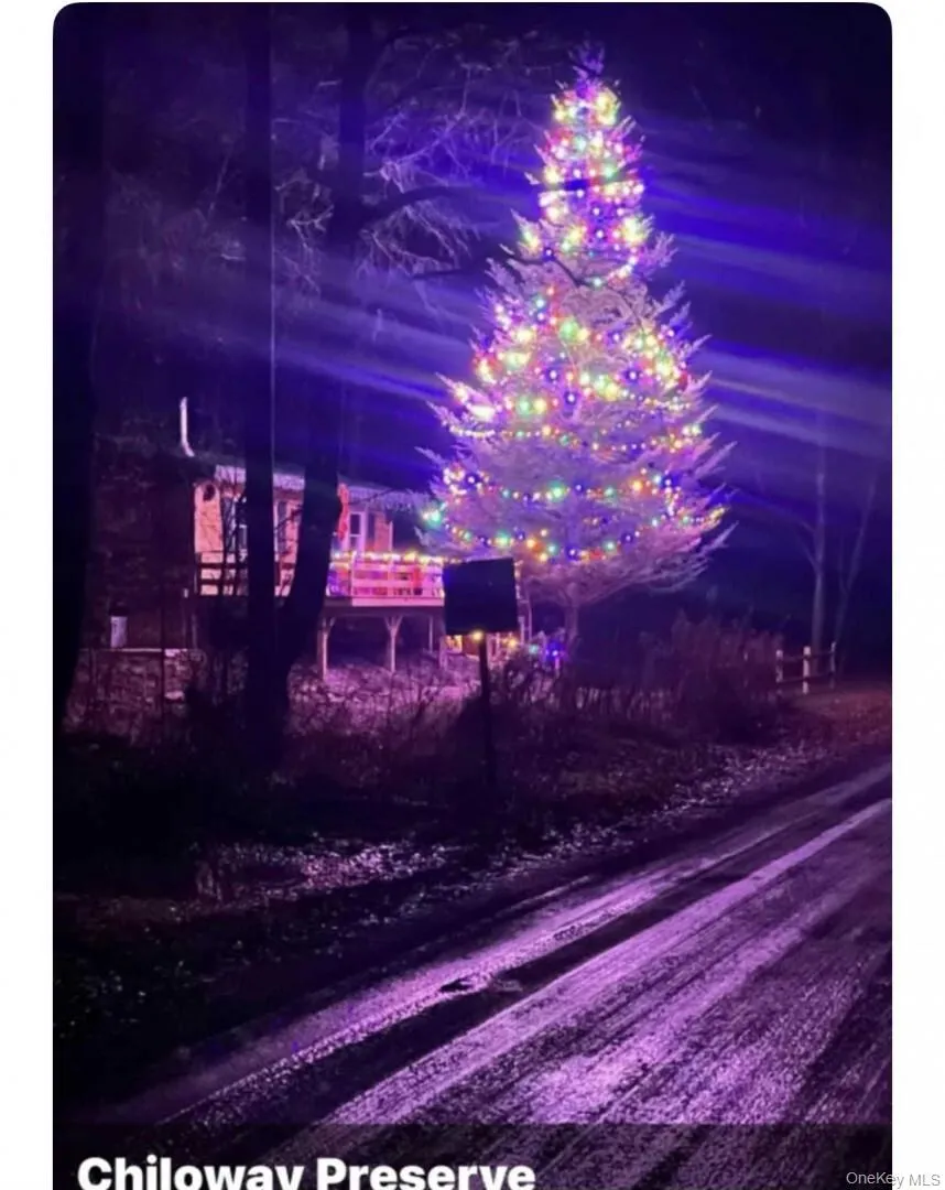 989 Chiloway Road Roscoe, NY 13856